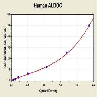 Aldolase C, Fructose-Bisphosphate (ALDOC) ELISA Kit avatar