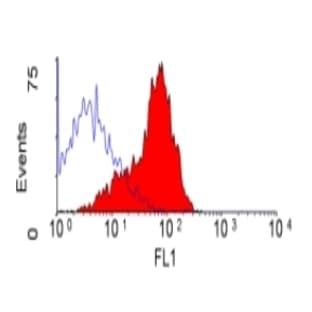 anti-CD200 Molecule (CD200) antibody