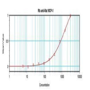 anti-Chemokine (C-C Motif) Ligand 2 (CCL2) antibody avatar