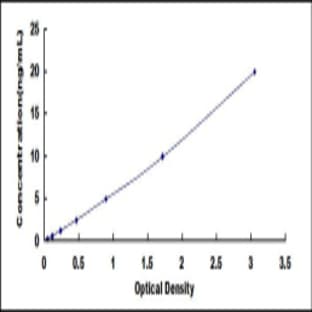 Transthyretin (TTR) ELISA Kit avatar