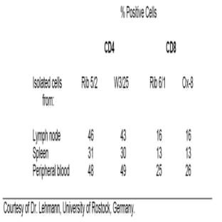 anti-CD4 Molecule (CD4) antibody avatar
