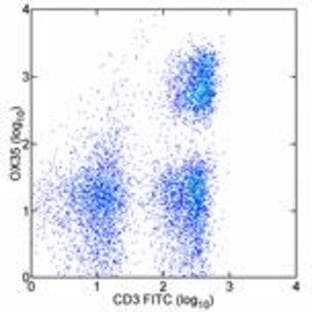 anti-CD4 Molecule (CD4) antibody avatar