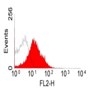 anti-CD28 (CD28) antibody (PE) avatar