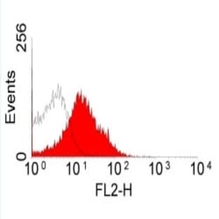 anti-CD28 (CD28) antibody (PE) avatar