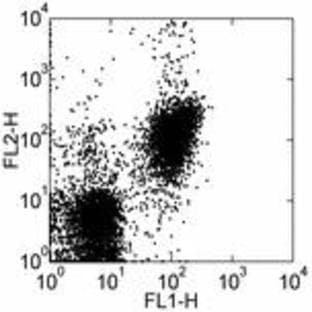 anti-CD28 (CD28) antibody (PE) avatar