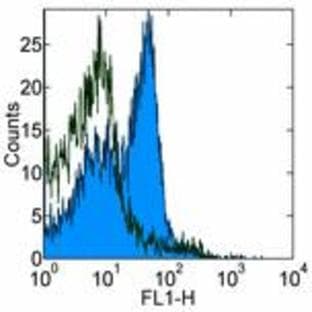 anti-CD28 (CD28) antibody avatar