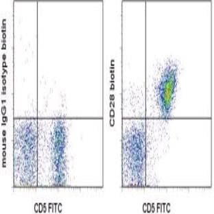 anti-CD28 (CD28) antibody (Biotin) avatar