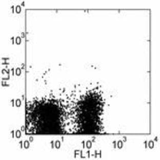 anti-CD28 (CD28) antibody (PE) avatar