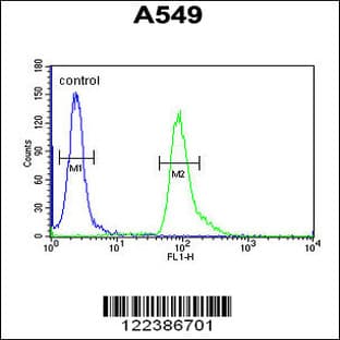 anti-Abhydrolase Domain Containing 12 (ABHD12) (N-Term), (AA 40-66) antibody avatar
