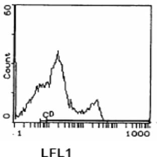 anti-CD3 (CD3) antibody avatar