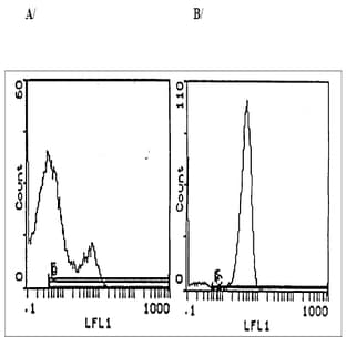 anti-CD3 (CD3) antibody (Biotin) avatar