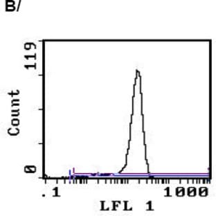 anti-CD3 (CD3) antibody (FITC) avatar
