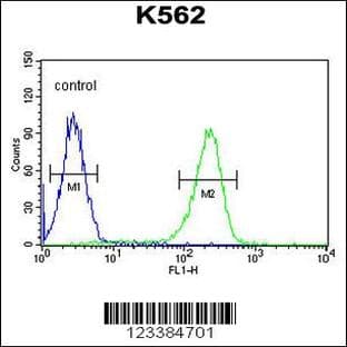anti-Chemokine (C-X-C Motif) Receptor 3 (CXCR3) (AA 140-167), (Center) antibody avatar