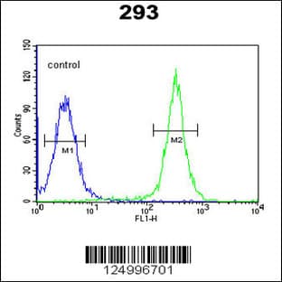 anti-Gasdermin A (GSDMA) (N-Term), (AA 66-94) antibody avatar