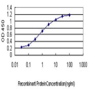 anti-Stonin 1 (STON1) (AA 141-250) antibody