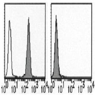 anti-CD274 Molecule (CD274) antibody avatar