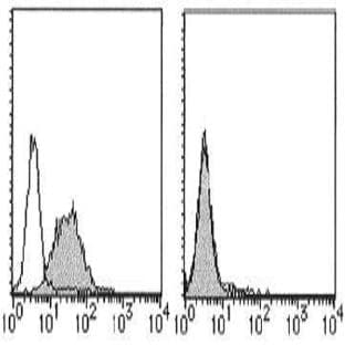 anti-CD274 Molecule (CD274) antibody (Biotin) avatar