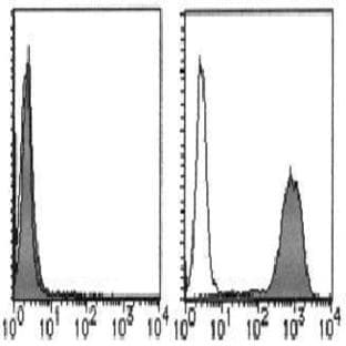 anti-CD274 Molecule (CD274) (Extracellular Domain) antibody (PE) avatar