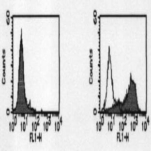 anti-CD274 Molecule (CD274) antibody avatar