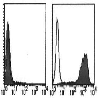 anti-CD274 Molecule (CD274) (Extracellular Domain) antibody (PE) avatar