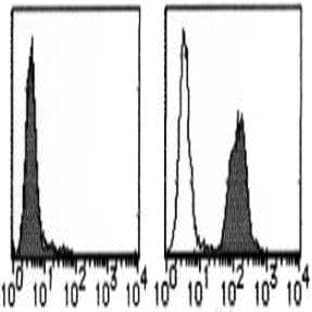 anti-CD274 Molecule (CD274) (Extracellular Domain) antibody avatar