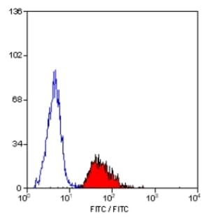 anti-CD47 (CD47) antibody (FITC) avatar