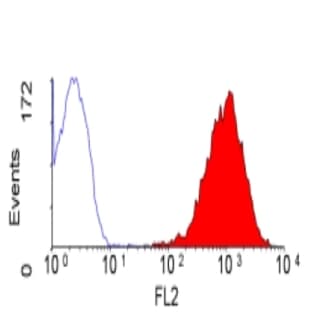 anti-CD47 (CD47) antibody (PE) avatar