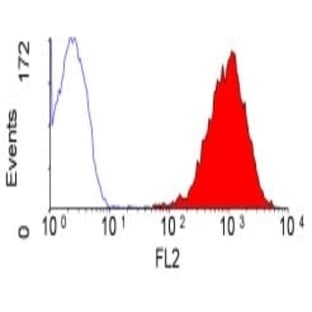 anti-CD47 (CD47) antibody (PE) avatar