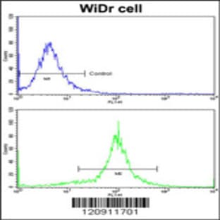 anti-Acyl-CoA Dehydrogenase, C-4 To C-12 Straight Chain (ACADM) (AA 189-217), (Center) antibody avatar