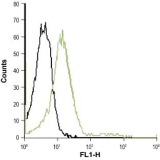 anti-Chemokine (C-X-C Motif) Receptor 2 (CXCR2) (N-Term), (AA 2-19), (Extracellular Loop) antibody avatar