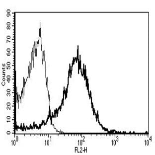 anti-CD82 Molecule (CD82) antibody (PE) avatar