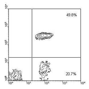 anti-CD4 Molecule (CD4) antibody (Biotin) avatar