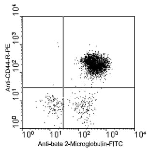 anti-CD44 (CD44) antibody (PE) avatar