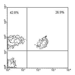 anti-CD3 (CD3) antibody (FITC) avatar