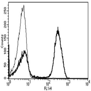 anti-CD3 (CD3) antibody (FITC) avatar