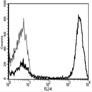 anti-CD3 (CD3) antibody (PE) avatar