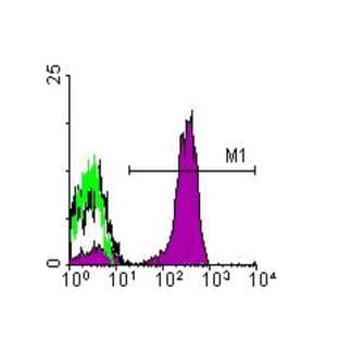 anti-CD3e Molecule, epsilon (CD3-TCR Complex) (CD3E) antibody (RPE) avatar