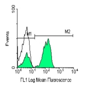 anti-CD3e Molecule, epsilon (CD3-TCR Complex) (CD3E) antibody (RPE) avatar