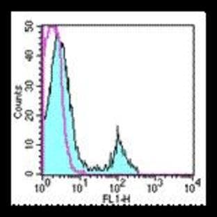 anti-CD8a Molecule (CD8A) antibody (FITC) avatar