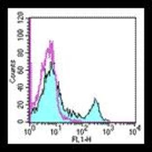 anti-CD8a Molecule (CD8A) antibody avatar