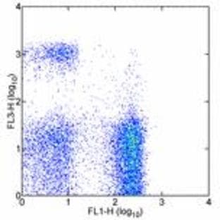 anti-CD8a Molecule (CD8A) antibody (PE,Cy7) avatar