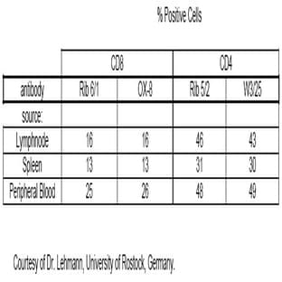 anti-CD8a Molecule (CD8A) antibody avatar