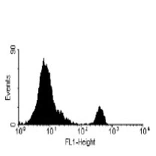anti-CD8a Molecule (CD8A) antibody avatar