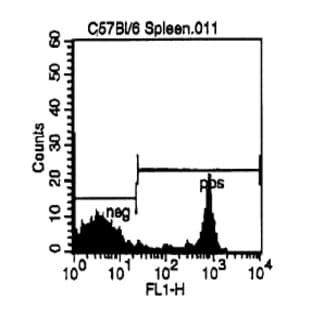 anti-CD8a Molecule (CD8A) antibody (FITC) avatar