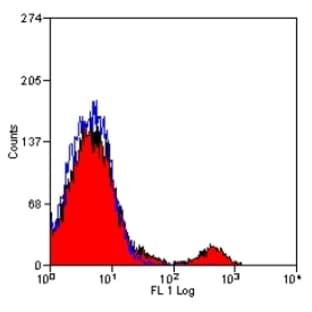 anti-CD8a Molecule (CD8A) antibody avatar