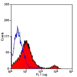 anti-CD8a Molecule (CD8A) antibody avatar