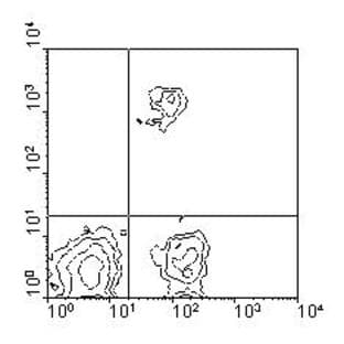 anti-CD8a Molecule (CD8A) antibody avatar