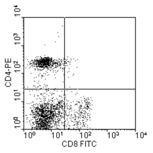 anti-CD8a Molecule (CD8A) antibody (FITC) avatar