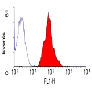 anti-CD46 Molecule, Complement Regulatory Protein (CD46) antibody (FITC) avatar