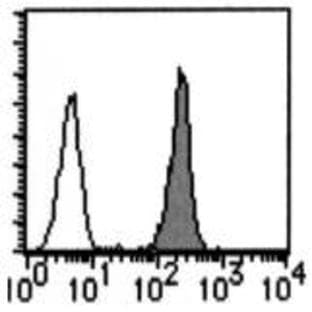 anti-CD46 Molecule, Complement Regulatory Protein (CD46) antibody avatar